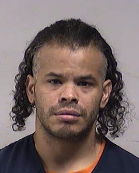 Mugshot of WELLS, CORY RAY