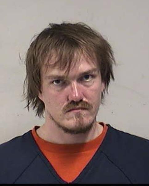 Mugshot of ZELLMER, DMITRY VIKTOR