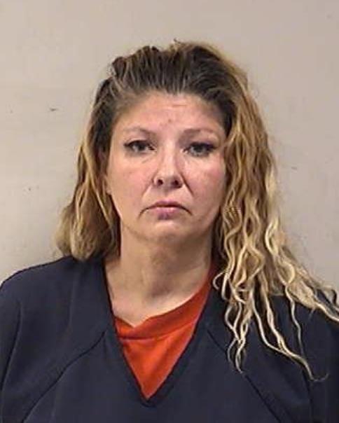 Mugshot of WOJCIK, TERRI LEE