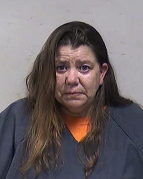 Mugshot of ROBBINS, BRIDGET LEE