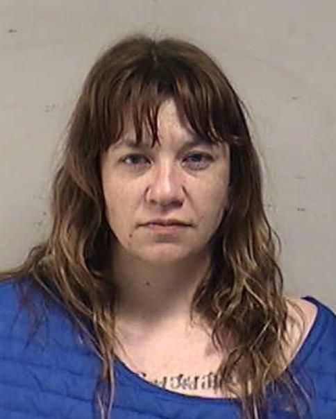 Mugshot of POFAHL, ELIZABETH CHRISTINE