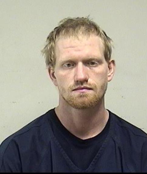 Mugshot of FLYNN, WILLIAM JAMES