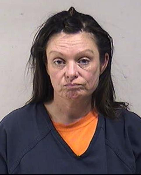 Mugshot of FANELLI, ANN CATHERINE