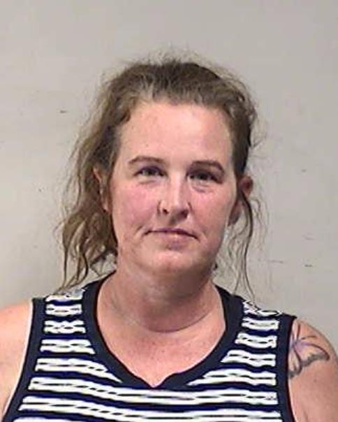 Mugshot of SANCHEZ, NICOLE MARIE