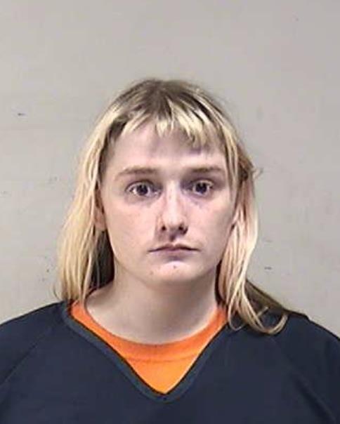 Mugshot of BRUMM, MICHAEL HENRETTA