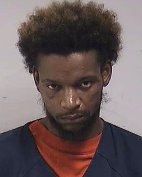 Mugshot of BURNEY, MICHAEL JAY