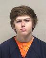Mugshot of FALLS, GRAYSON LEE