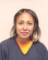 Mugshot of RIOS-SALGADO, ELVIA