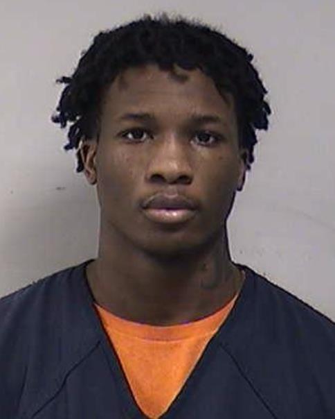 Mugshot of WILLIAMS, DAVE'IN KING