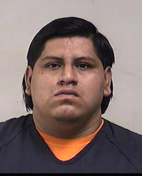 Mugshot of SANCHEZ-PINGOS, RONNY