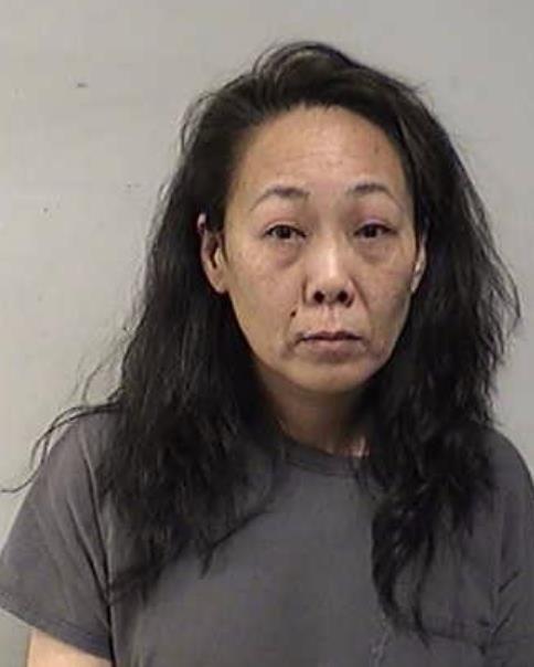 Mugshot of LEE, JAIME FAY